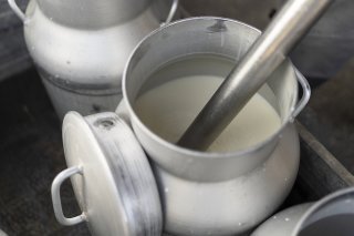 Les agriculteurs avaient demandé une augmentation du prix du lait de 4 centimes (archives). KEYSTONE/GAETAN BALLY